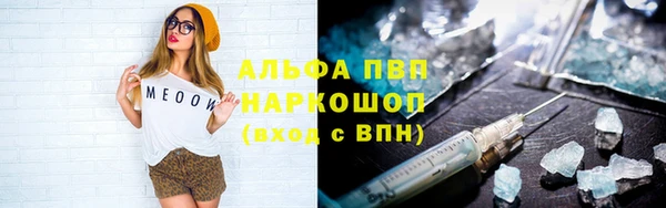 гашик Краснослободск